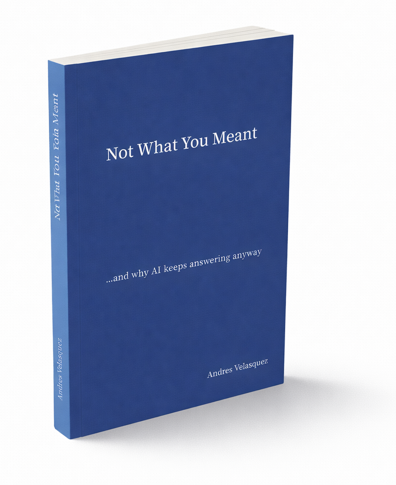 Not What You Meant book cover